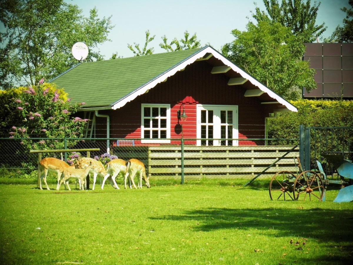 Vakantiehuisjes Landgoed Sonneborghe Kollumerzwaag Kültér fotó
