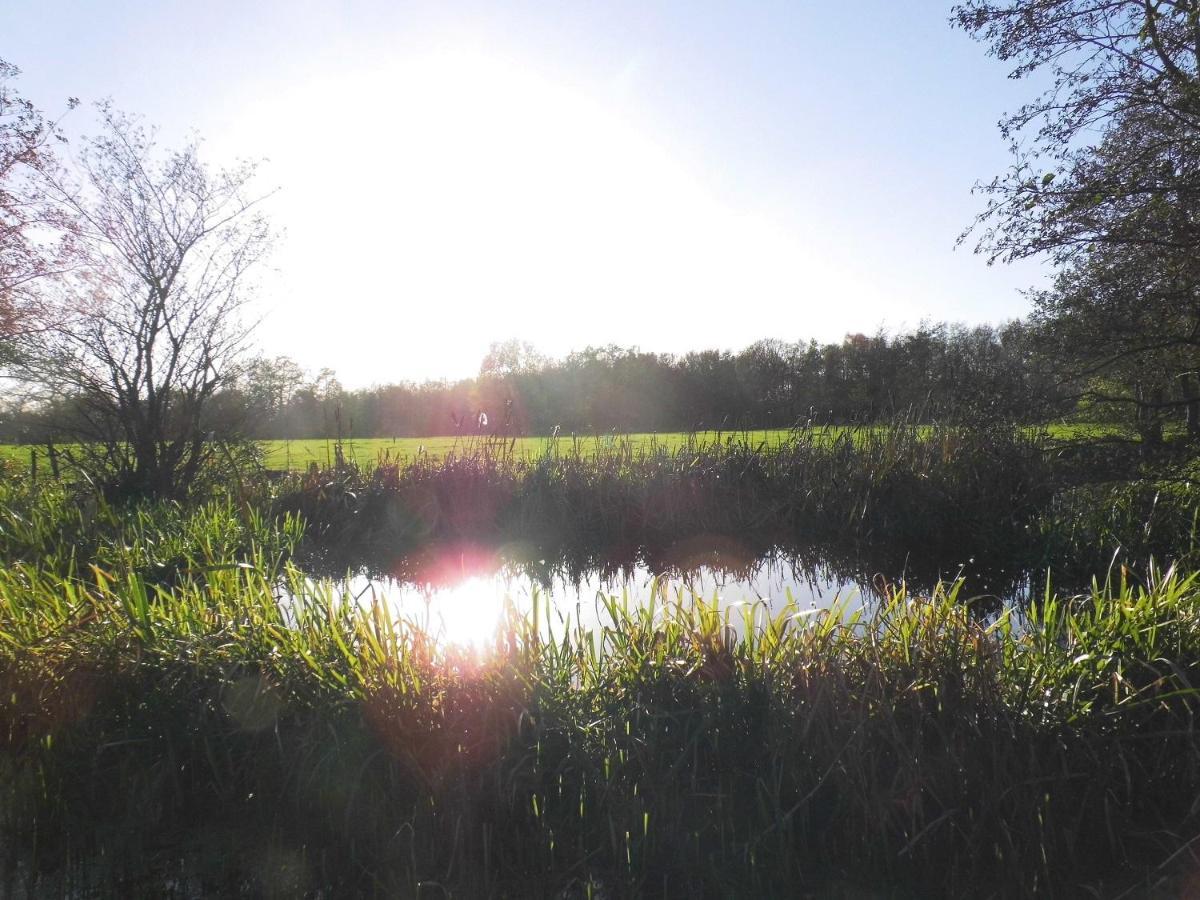 Vakantiehuisjes Landgoed Sonneborghe Kollumerzwaag Kültér fotó