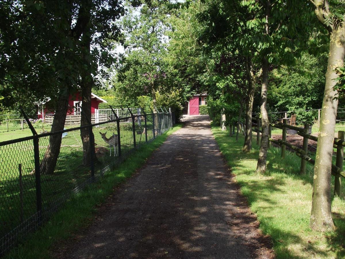 Vakantiehuisjes Landgoed Sonneborghe Kollumerzwaag Kültér fotó