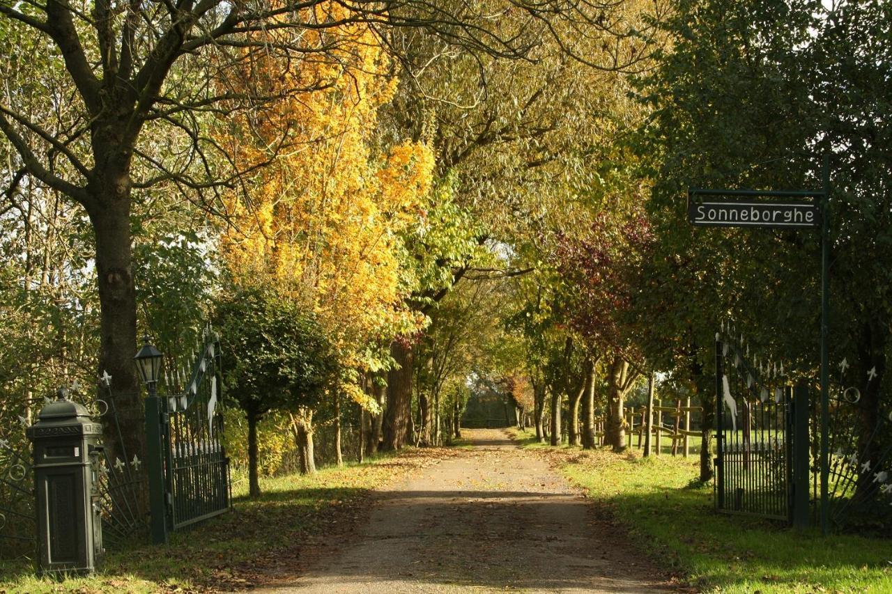 Vakantiehuisjes Landgoed Sonneborghe Kollumerzwaag Kültér fotó