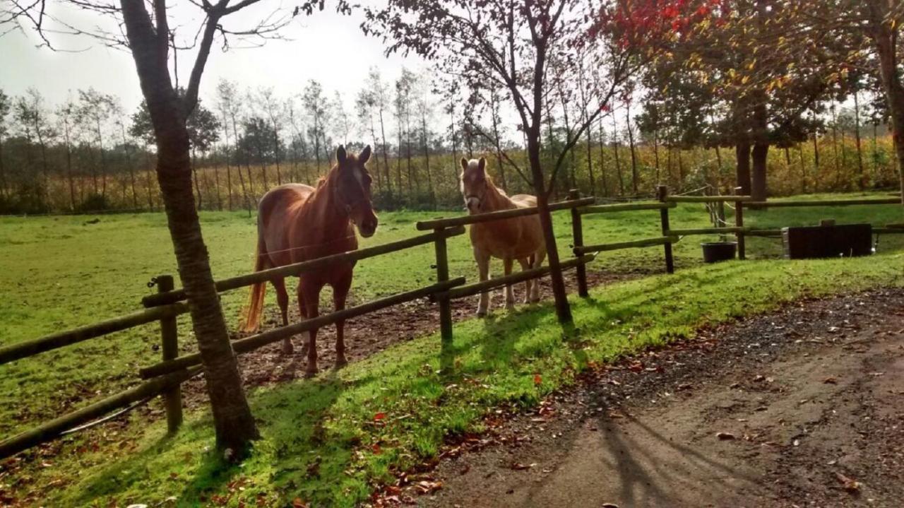 Vakantiehuisjes Landgoed Sonneborghe Kollumerzwaag Kültér fotó