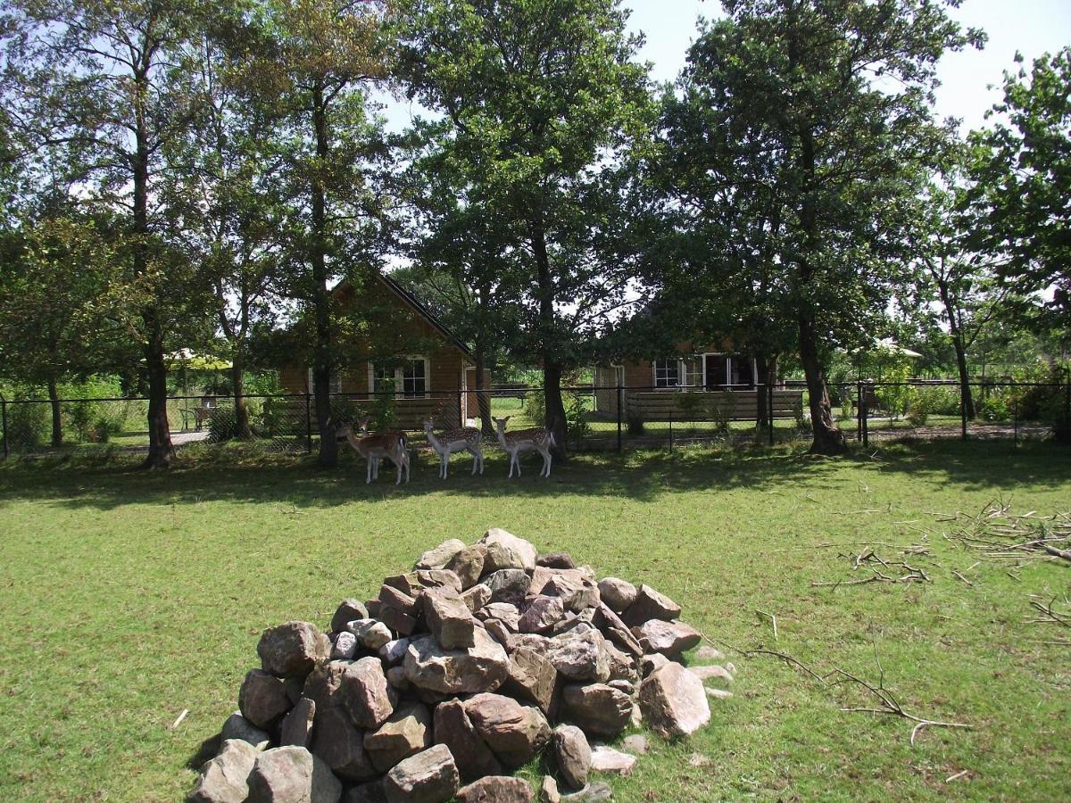 Vakantiehuisjes Landgoed Sonneborghe Kollumerzwaag Kültér fotó