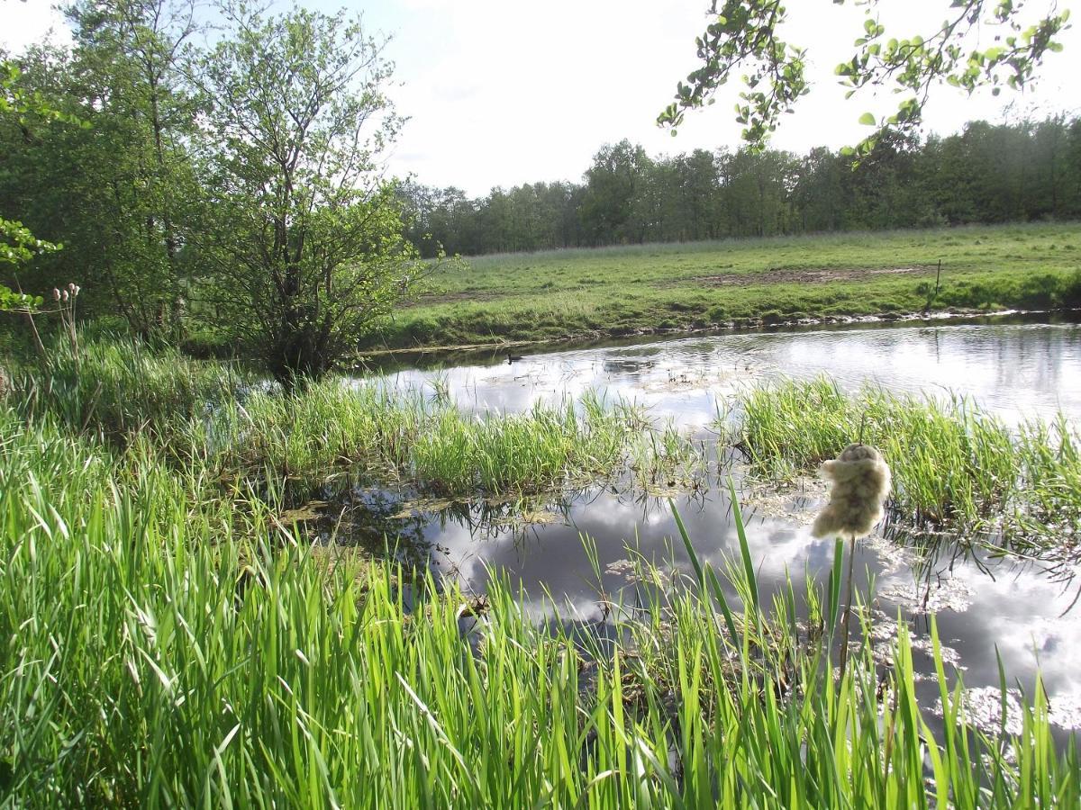 Vakantiehuisjes Landgoed Sonneborghe Kollumerzwaag Kültér fotó